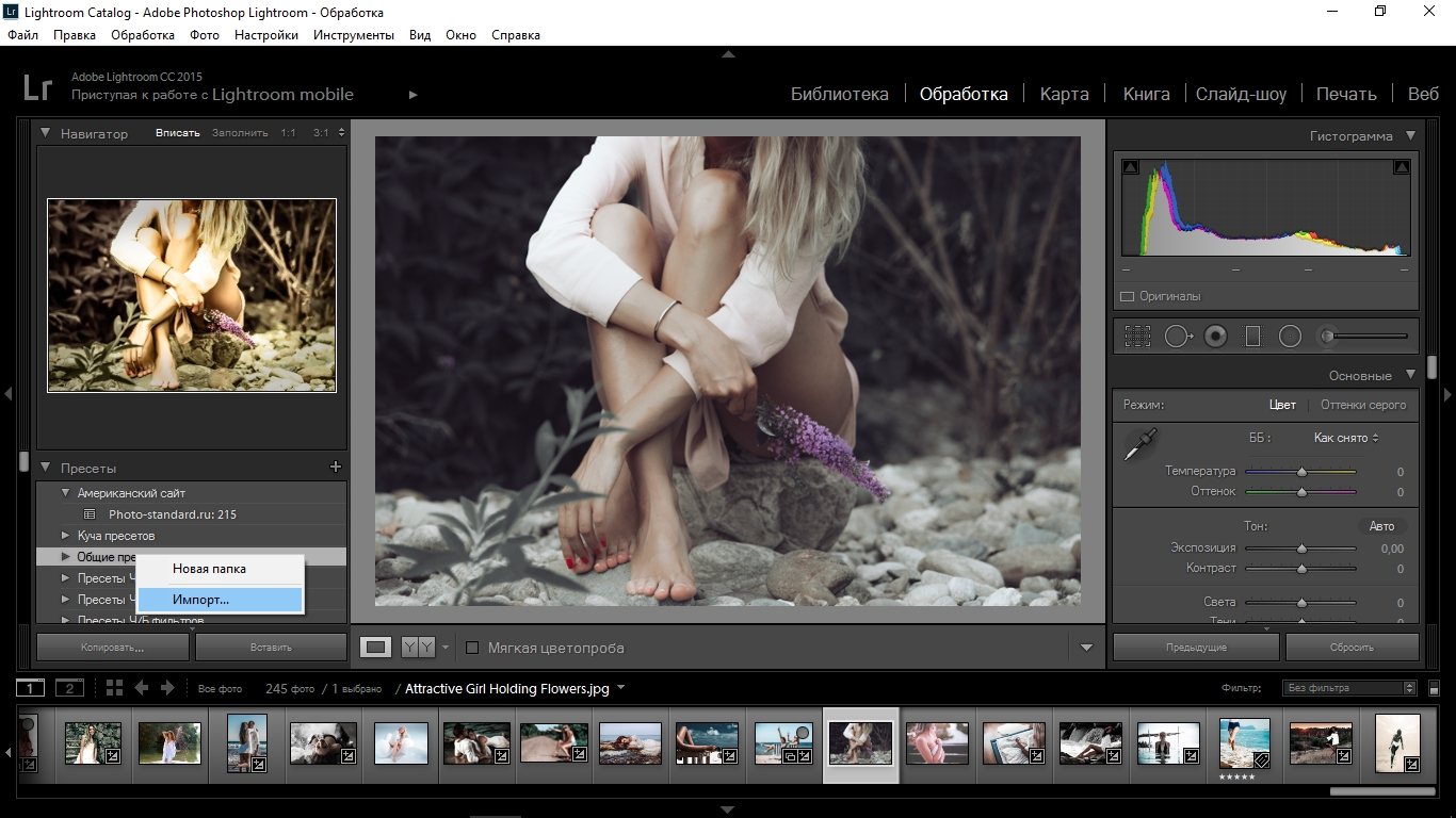 Установка Lightroom пресетов - Lightroom presets